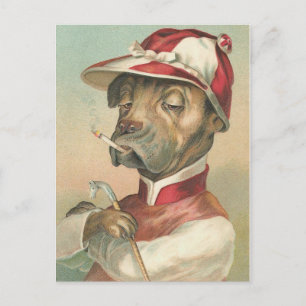 "The Smoking Jockey" Vintage Dog Postcard