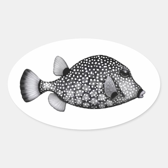The Smooth Trunkfish Sticker (Front)