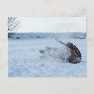 The snow bath - postcard