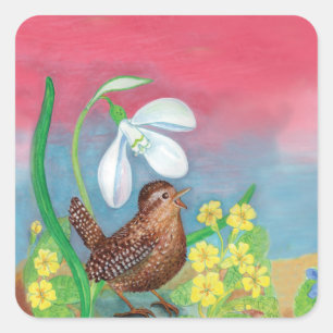 The snowdrop and the wren bird spring illustration square sticker