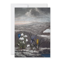 The snowdrop holiday card