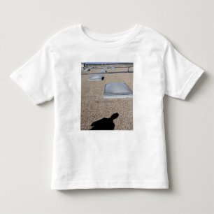 The solar day lighting system toddler t-shirt