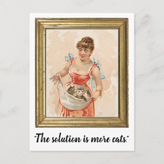 "The Solution Is More Cats" Funny Postcard (Front)