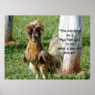 The Solution to a Bad Hair Day Humour Poster