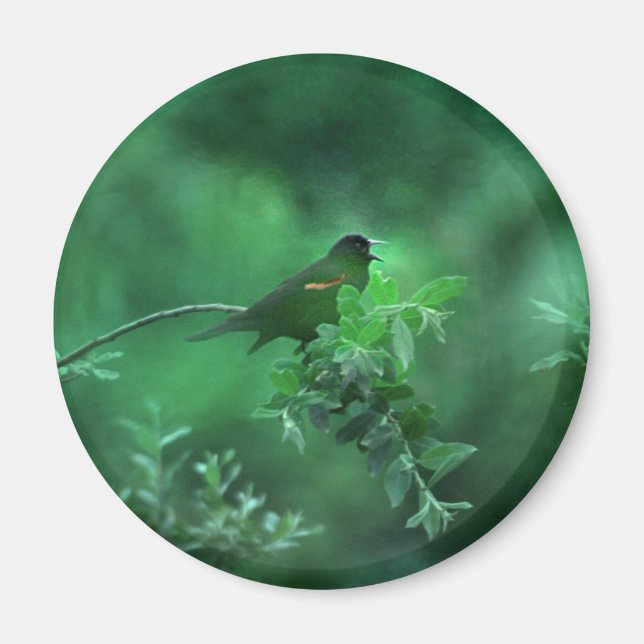 The Song Magnet (Front)