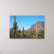 The Sonoran Desert of Arizona