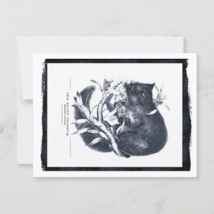 The Sooty Opossum Postcard