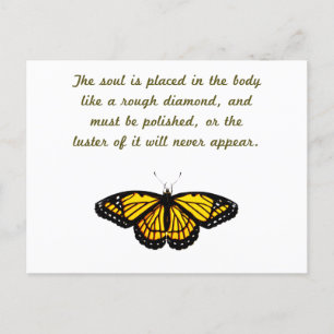 The Soul Is Placed In The Body Postcard