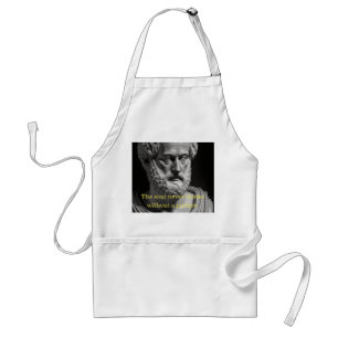 The soul never thinks without a picture standard apron