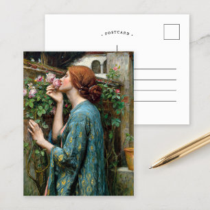 The Soul of the Rose   John William Waterhouse Postcard