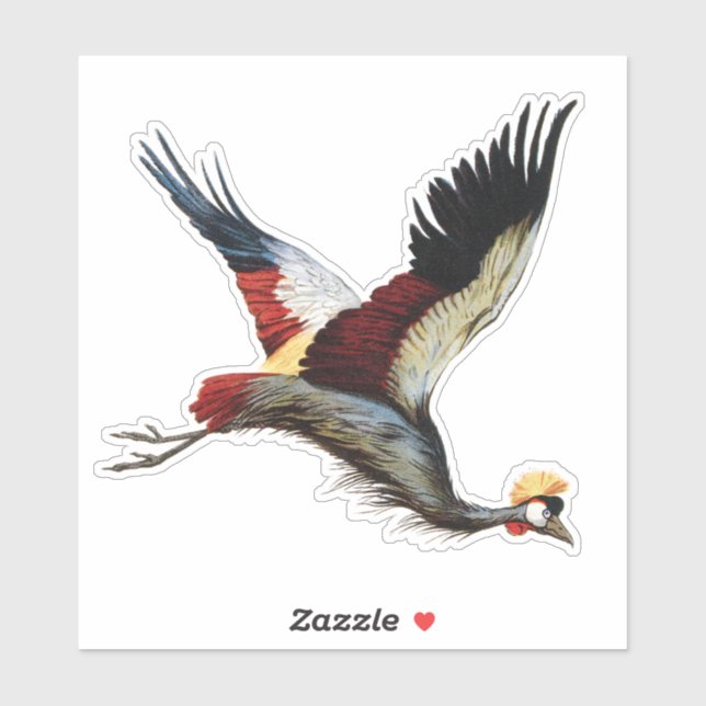 The South African crowned crane in mid-flight (Sheet)