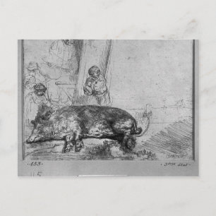 The Sow, 1643 Postcard
