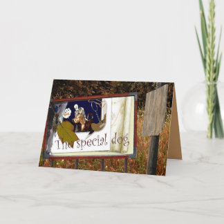 The special dog card