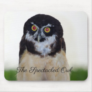 The Spectacled Owl Mouse Pad