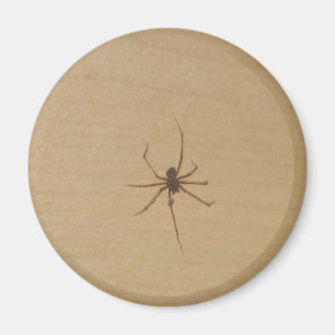 The Spider Magnet