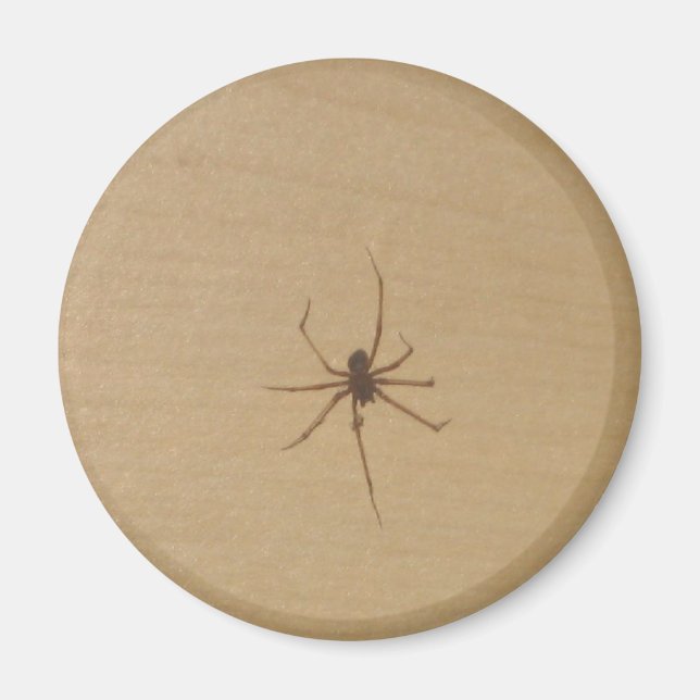 The Spider Magnet (Front)