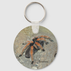 The Spider pix, Tarantula Keychain
