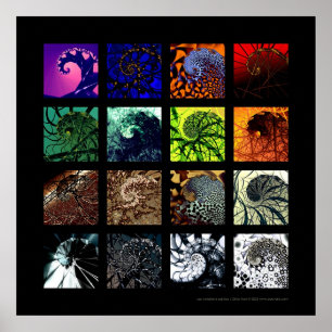 The spiral variations poster