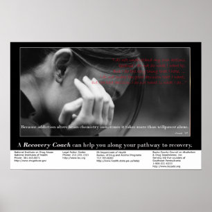 The Spirit is Willing Poster
