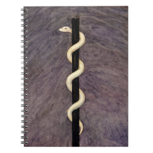 The Spirit World, No.14, 1915 by Anna Cassel Notebook
