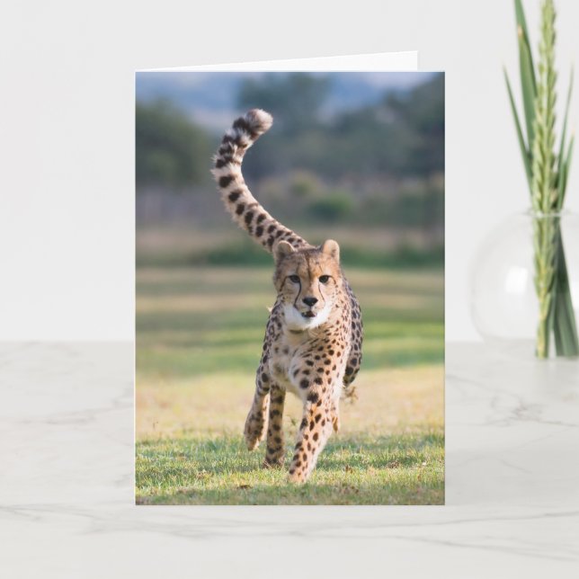 The Sprint Card (Front)