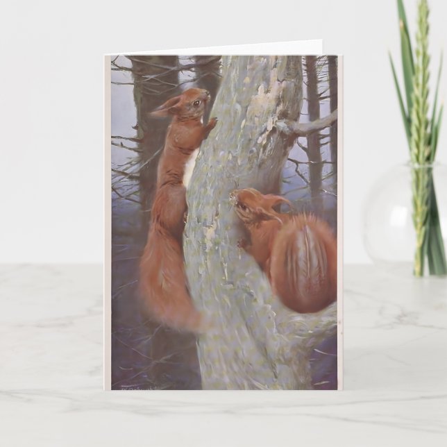  THE SQUIRREL (Sciurus vulgaris) Card (Front)