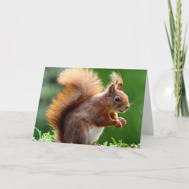 The Squirrel Valentine Card (Front)