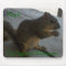 The Squirrel Whisperer Mousepad, customizable