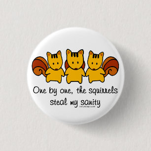 The squirrels steal my sanity 1 inch round button