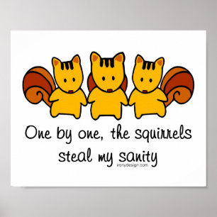 The squirrels steal my sanity poster
