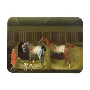 The Stables and Two Famous Running Horses belongin Magnet