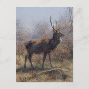 The Stag by Rosa Bonheur Postcard