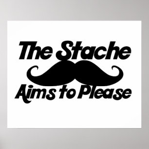 The Stahce Aims to Please Poster