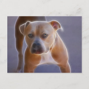 The Stance Postcard