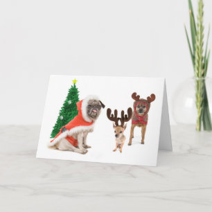 The stand ins holiday card