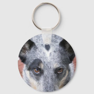 The Stare Down - a cowdog look Keychain