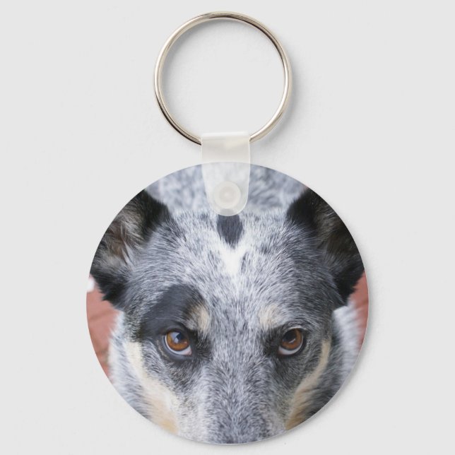 The Stare Down - a cowdog look Keychain (Front)