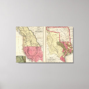 The State Of Texas Canvas Print