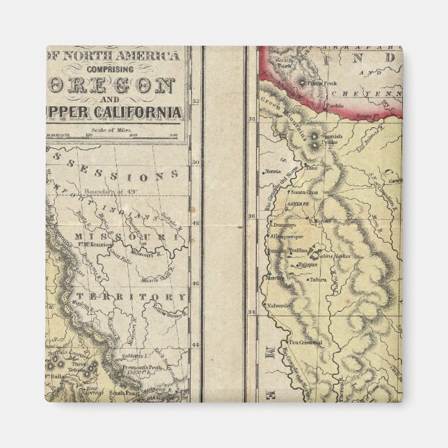 The State Of Texas Magnet (Front)