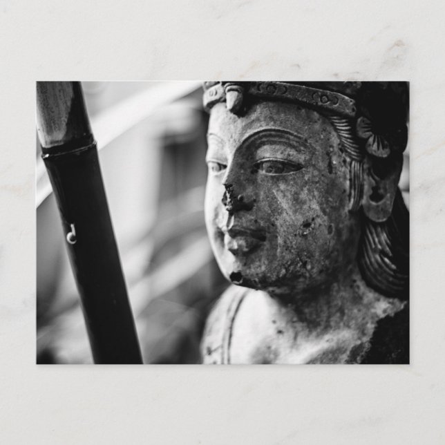 The Statue and the Snail photo postcard (Front)