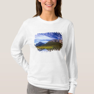 The still waters of Waterfowl Lake make a T-Shirt