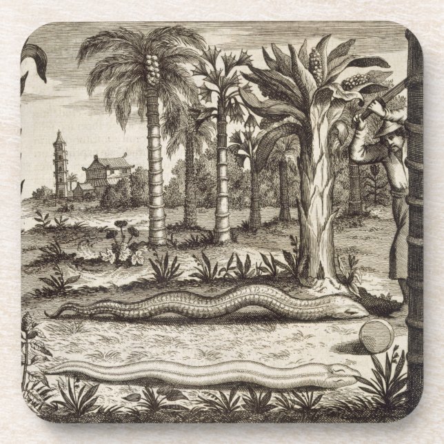 The Stone Snake, from 'China Illustrated' by Athan Coaster (Front)