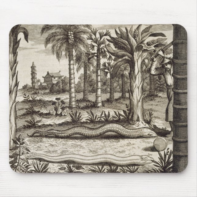 The Stone Snake, from 'China Illustrated' by Athan Mouse Pad (Front)