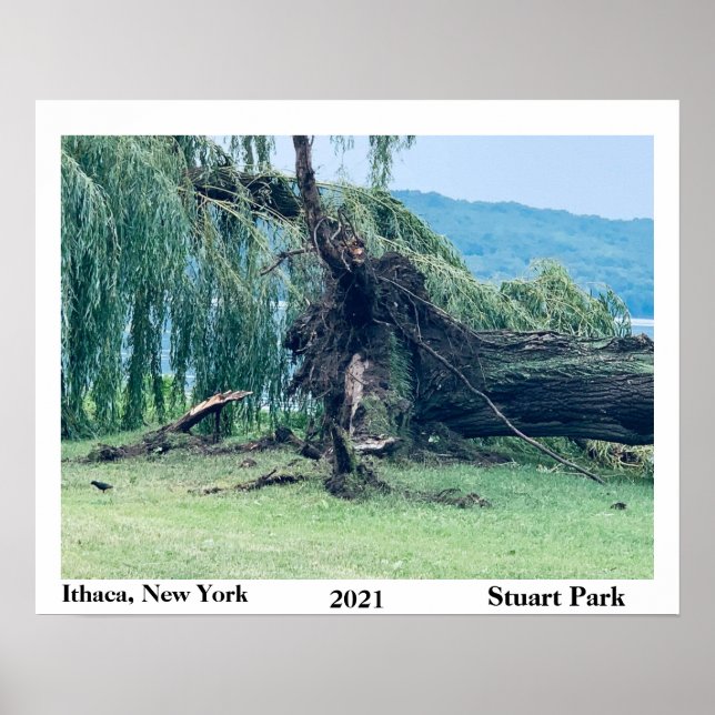 THE STORM STUART PARK 2021  POSTER (Front)