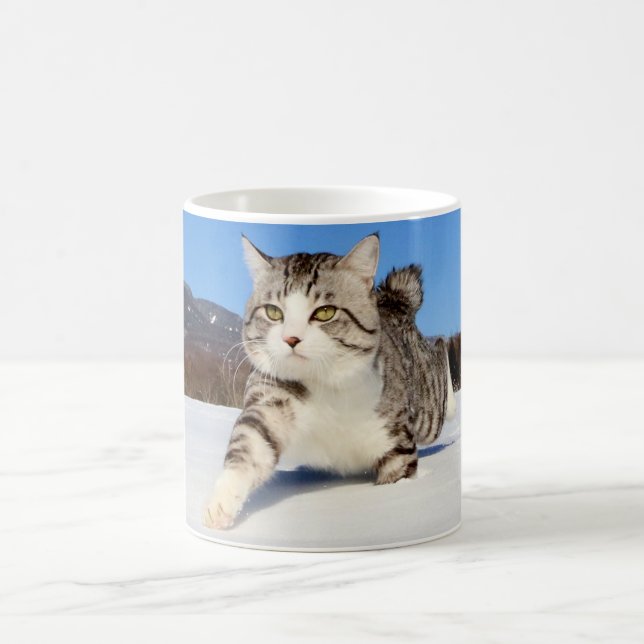 The Stray Cat Named Nyankichi Coffee Mug (Center)