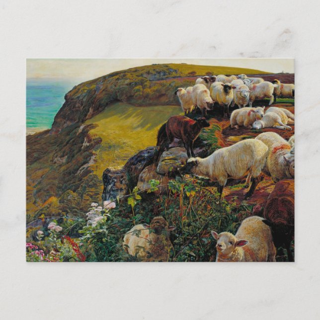 The Strayed Sheep Postcard (Front)
