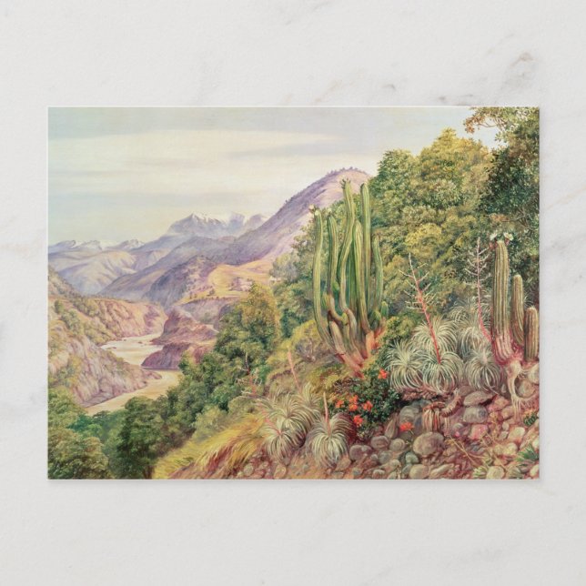 The Streams of Languenas in the Cordellera, Chile Postcard (Front)