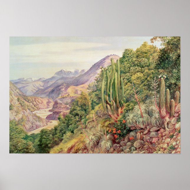 The Streams of Languenas in the Cordellera, Chile Poster (Front)