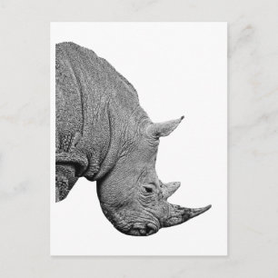 THE STRENGTH OF POSTCARD