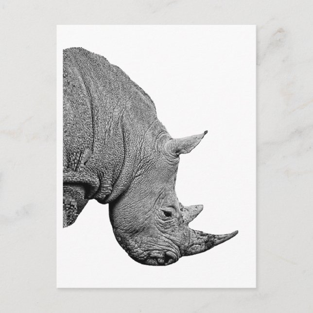 THE STRENGTH OF POSTCARD (Front)